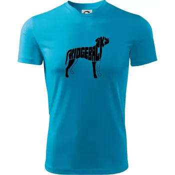 Pánské tričko Ridgeback - Pánské triko Fantasy sportovní (dresovina) - 2XL ( Světlý tyrkys )