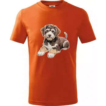 Chlapecké oblečení Lagotto romagnolo vyšívaný velký - Tričko dětské bavlněné - 104-110cm / 3-4 roky ( Oranžová )