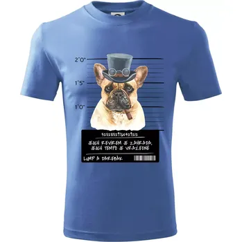 Lump a darebák francouzský buldoček - Tričko dětské bavlněné - 98 cm / 2 roky ( Azurově modrá )