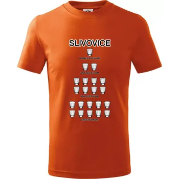 Slivovice počítání (Hana-creative) - Tričko dětské bavlněné - 134 cm/8 let ( Oranžová )