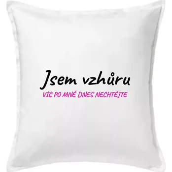 Polštář Jsem vzhůru víc po mě dnes nechtějte - Polštář 50x50 - 50x50 - Pouze potah ( Bílá )