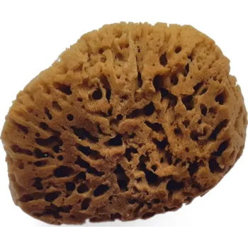 Caribbean Sun Minerální mořská houba 13-14 cm