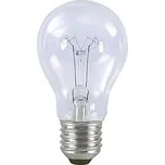Žárovka 100W E27 240V čirá