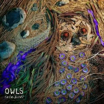 Zahraniční hudba CD Owls: Rare Birds 2025