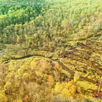 Zahraniční hudba LP Bendigo Fletcher: Consensual Wisdom 2025 Beige Coloured Vinyl Limited Edition