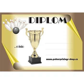 VIZINGR Bowling diplom č.26