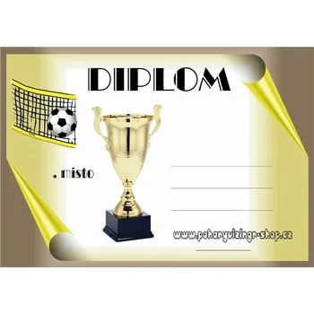 Nohejbal diplom č.10