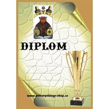 VIZINGR Karty diplom A4 č.21