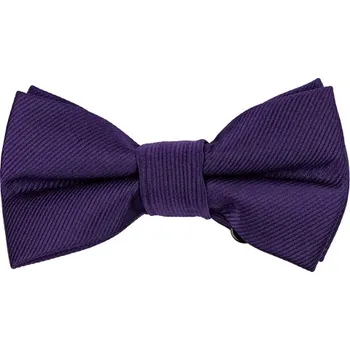 Motýlek Bubibubi Tmavě fialový dětský motýlek Bora