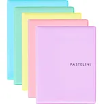 Karton P+P Pastelini 6-123 mix barev