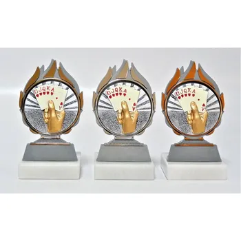 Karty plakety Q120-802-FG060