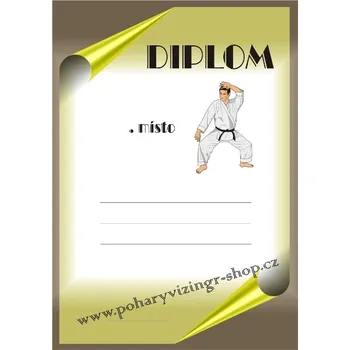 Karate diplom A4 č.8