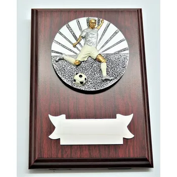 VIZINGR Fotbalista plaketa H122-G15-FG029