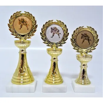VIZINGR Judo trofeje 84-77