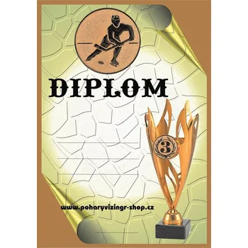 VIZINGR Hokej diplom A4 č.43