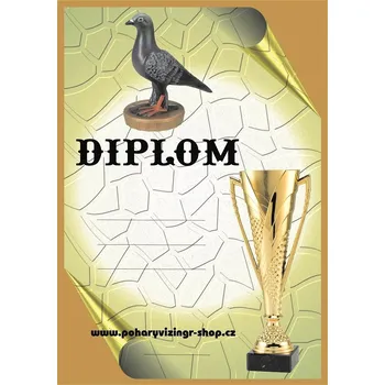 Holubáři diplom A4 č.21