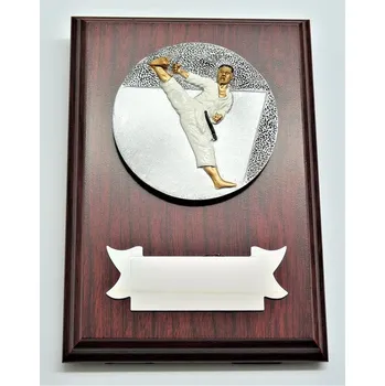 VIZINGR Karate plaketa H122-G15-FG005