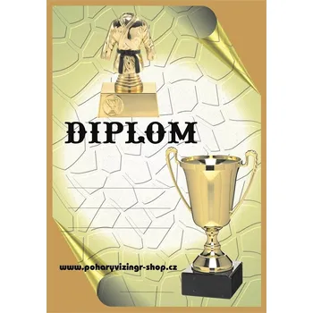 Judo diplom A4 č.8