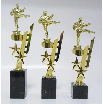 VIZINGR Karate trofeje MUŽI 38-F10