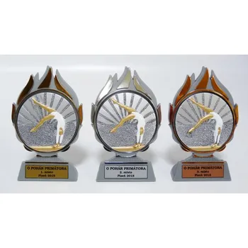 Gymnastka plakety Q120-FG050