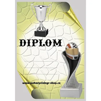 VIZINGR Auta diplom A4 č.26