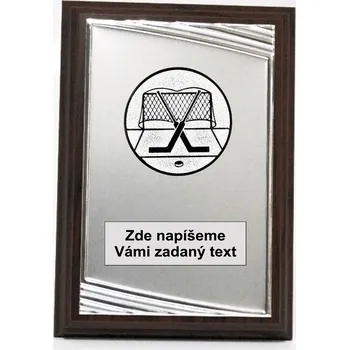 Hokej brankář plaketa H122-G231.02-142