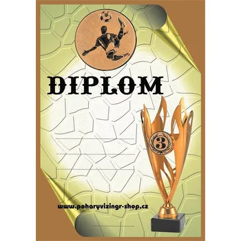 Nohejbal diplom A4 č.19