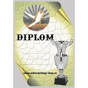 VIZINGR Gymnastika diplom A4 č.17