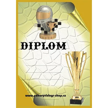 VIZINGR Auta diplom A4 č.25