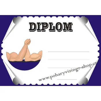 VIZINGR Páka diplom A4 č.3