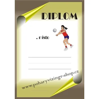 VIZINGR Volejbal diplom A4 č.23