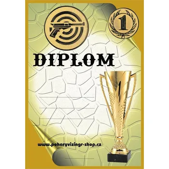 VIZINGR Pistole diplom A4 č.43