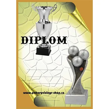 VIZINGR Pétanque diplom A4 č.15