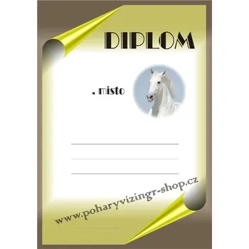 Koně diplom A4 č.6