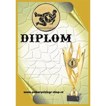 VIZINGR Zápas diplom A4 č.1