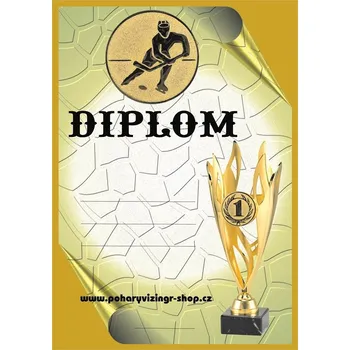 VIZINGR Hokej diplom A4 č.41