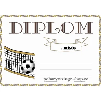 VIZINGR Nohejbal diplom A4 č.1