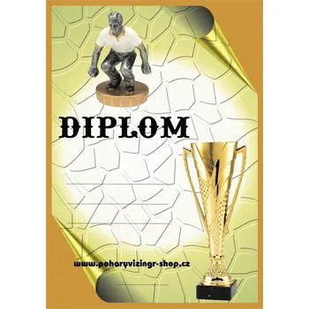 VIZINGR Pétanque muž diplom A4 č.17