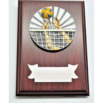 Volejbal plaketa H122-G15-FG007