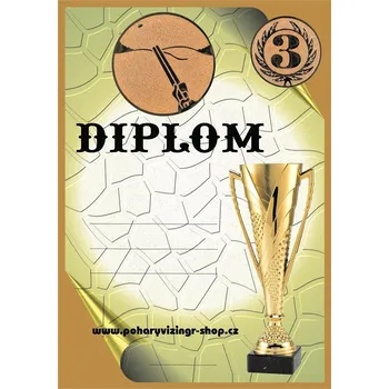 VIZINGR Trap-skeet diplom A4 č.40