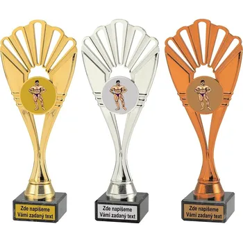 VIZINGR Kulturisti trofeje ET468-L306
