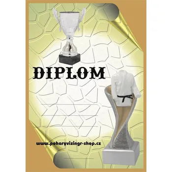 Judo diplom A4 č.6