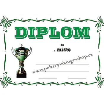 VIZINGR Diplom A4 D č.4