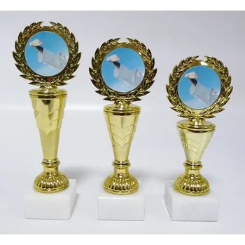 Karate trofeje 40-L162