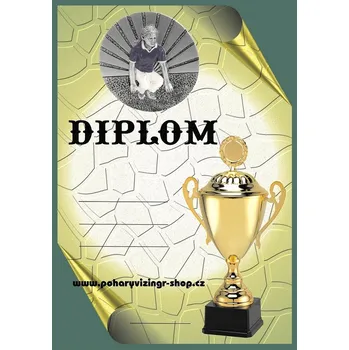 VIZINGR Pétanque žena diplom A4 č.9