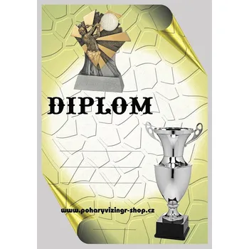 VIZINGR Golf diplom A4 č.8