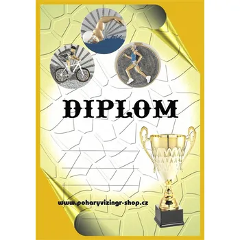 VIZINGR Triatlon ženy diplom A4 č.9