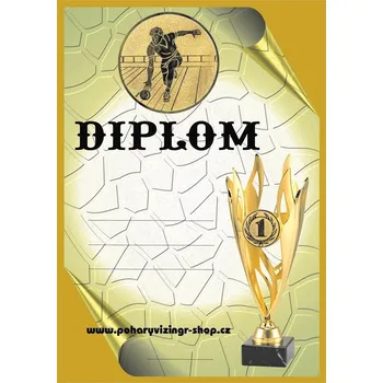 VIZINGR Bowling muž diplom A4 č.28