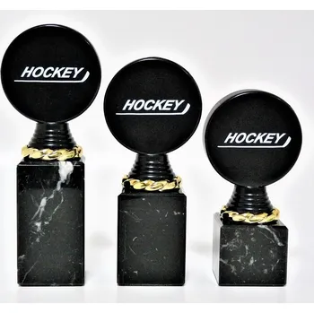 Hokej trofeje P508-MULTI-M401-3