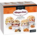 Häagen-Dazs variace smetanových…